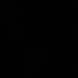 Meet your Posher, Rosa